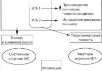 схема
