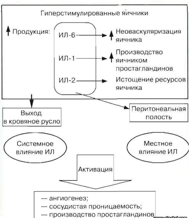 Синдром гиперстимуляции яичников презентация