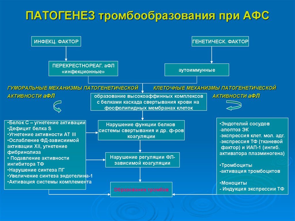 Антифосфолипидный синдром и беременность литература thumbnail